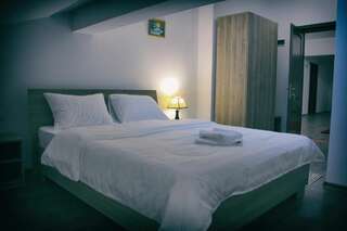 Курортные отели Pensiunea DARILUX Мойсей Двухместный номер с 1 кроватью и собственной ванной комнатой-4