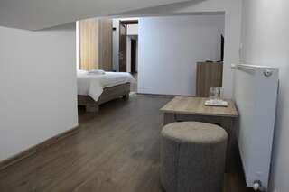 Курортные отели Pensiunea DARILUX Мойсей Двухместный номер с 1 кроватью и собственной ванной комнатой-8