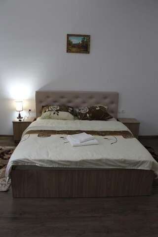 Курортные отели Pensiunea DARILUX Мойсей Двухместный номер с 1 кроватью и собственной ванной комнатой-16