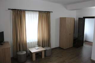 Курортные отели Pensiunea DARILUX Мойсей Двухместный номер с 1 кроватью и собственной ванной комнатой-20